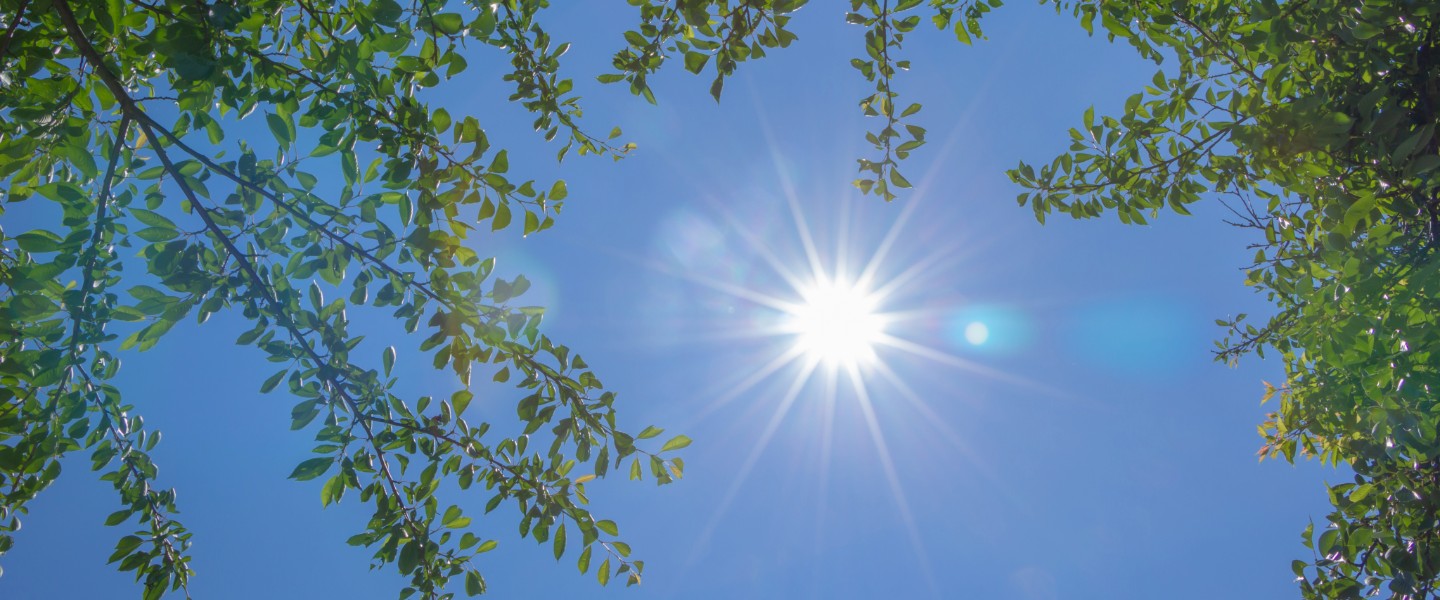 insight featured image