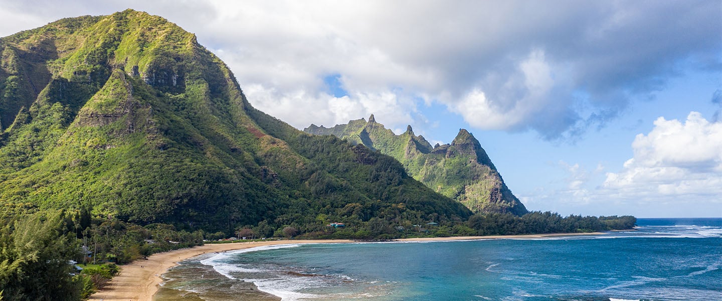 insight featured image