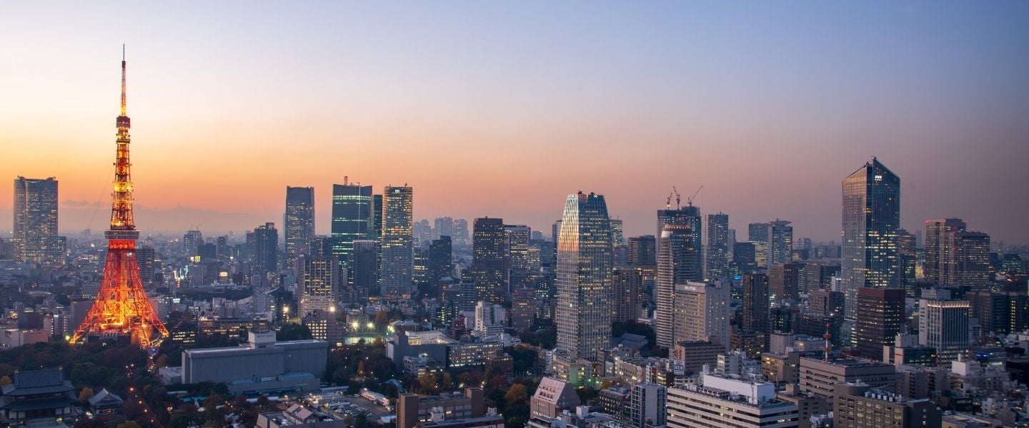 insight featured image