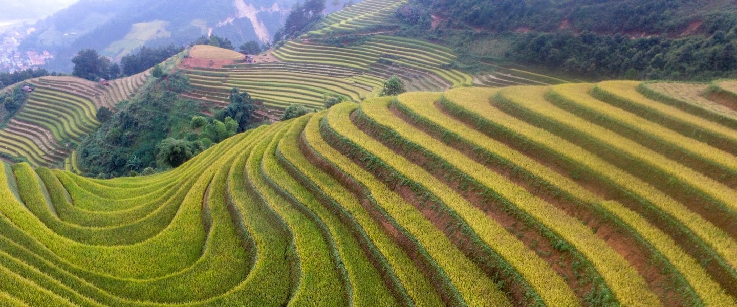 ベトナム・インドの税務最前線