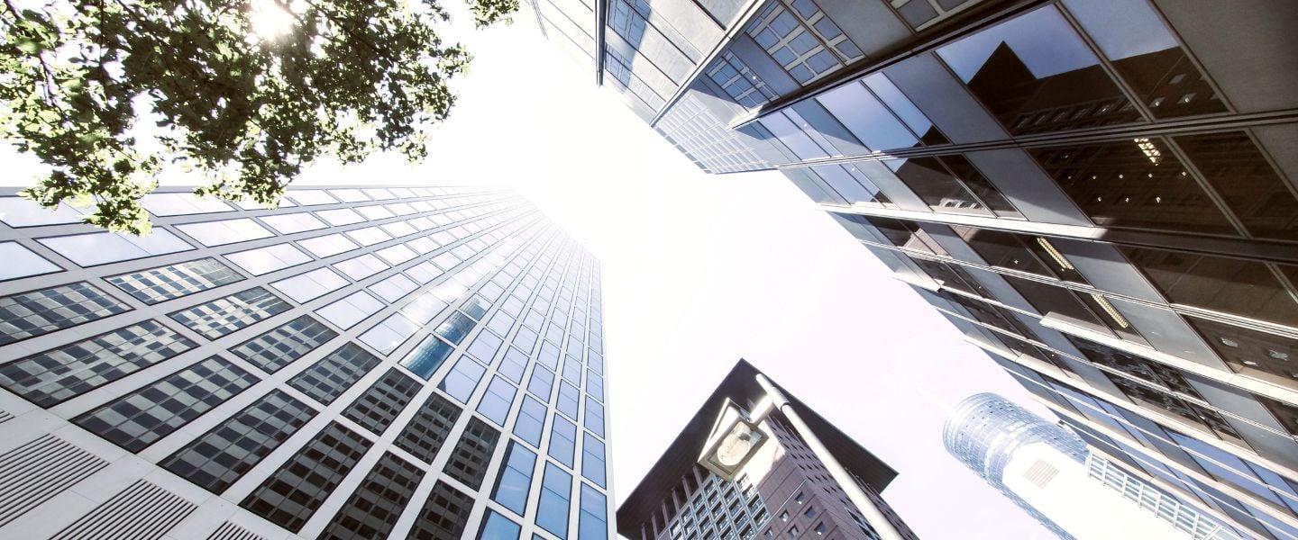 insight featured image