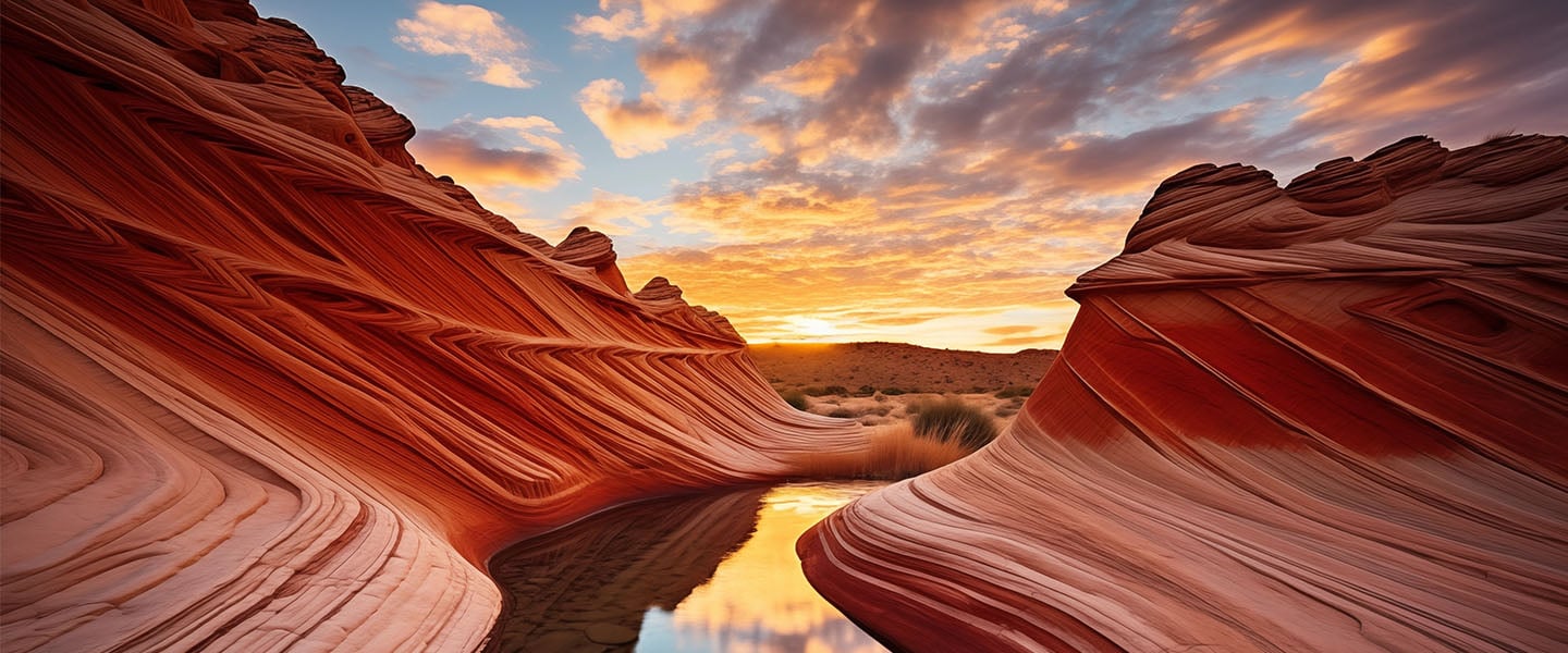 insight featured image