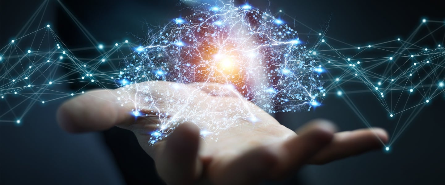 insight featured image