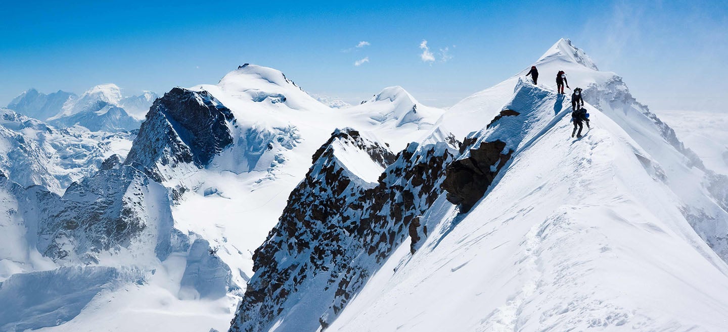 insight featured image