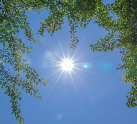 職場における熱中症対策